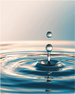 Water Quality